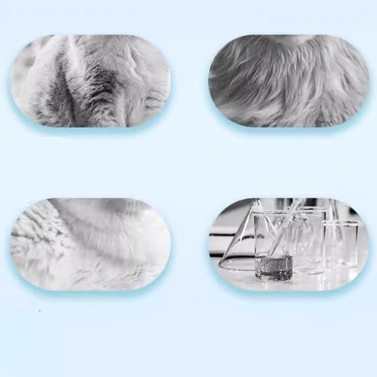 🦠🧼Öblítésmentes kisállat sampon hab🐾