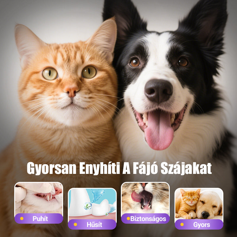 🐱🐕Állati szájápoló fogkrém (fogkefével) - Gyorsan eltávolítja a fogkövet