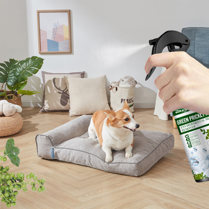 ⚡Limitált akci🧑‍⚕️Erős atkák eltávolító spray