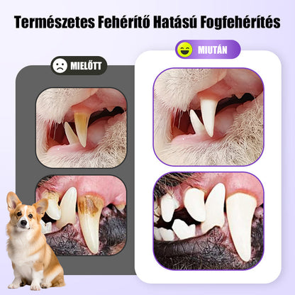 🐱🐕Állati szájápoló fogkrém (fogkefével) - Gyorsan eltávolítja a fogkövet