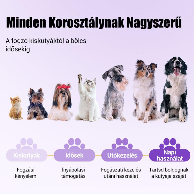 🐱🐕Állati szájápoló fogkrém (fogkefével) - Gyorsan eltávolítja a fogkövet