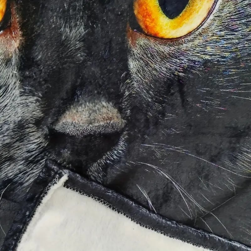 Aranyos fekete macskamintás flanel takaró