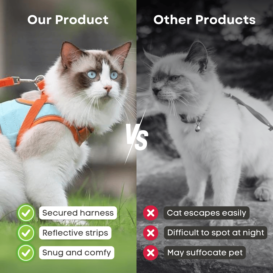 😺🐶Macska hám és póráz🐾