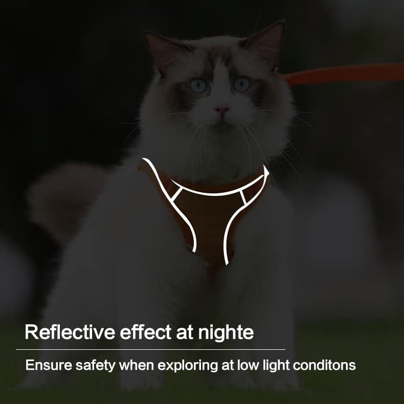 😺🐶Macska hám és póráz🐾