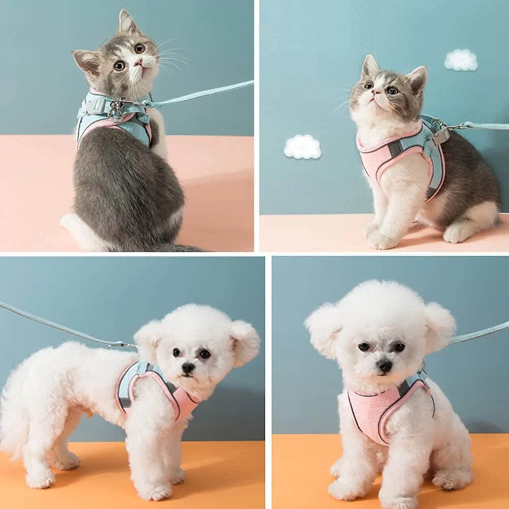 😺🐶Macska hám és póráz🐾